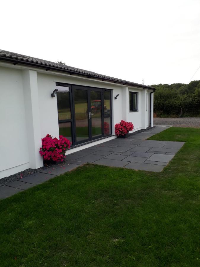 Foxholes Accommodation Felton  Exterior photo